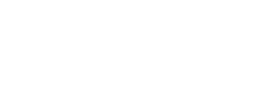 RG electronic